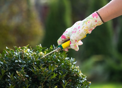 Soft landscaping work in Northolt with lawn and planting areas