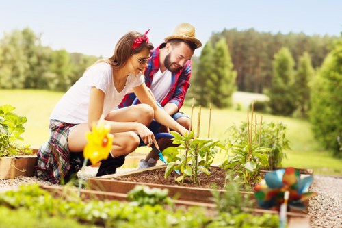 Local Northolt garden border and shrub planting service