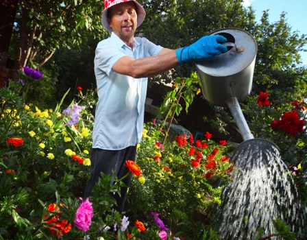 Screen-reader friendly landscaping webpage structure