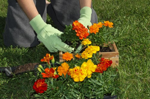 User managing cookie preferences on Landscaping Northolt