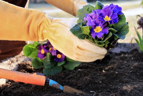 Outdoor landscaping work in progress with site safety considerations