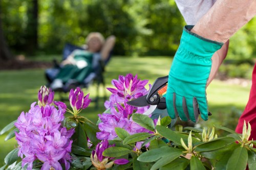 Accessibility review for local landscaping services in Northolt