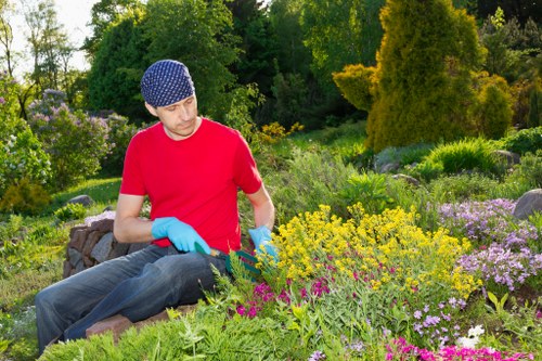 A refined Northolt garden showing balanced landscaping and planting