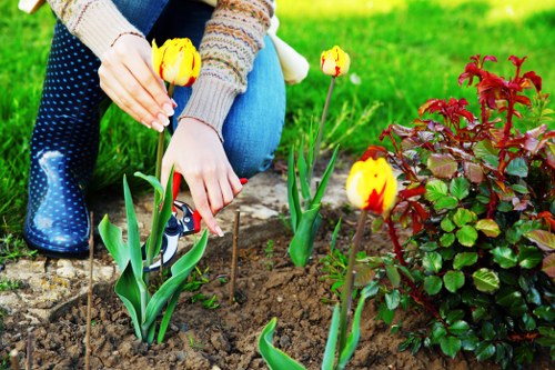 Invoice and payment terms for landscaping services