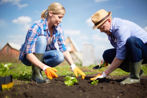 Inclusive landscaping content for Northolt users